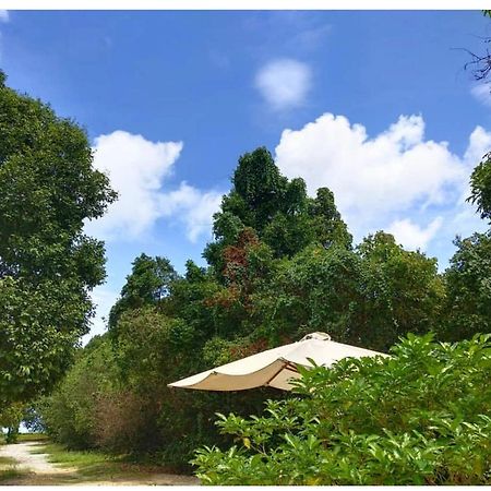 Tropical Resort Langkawi Eksteriør billede