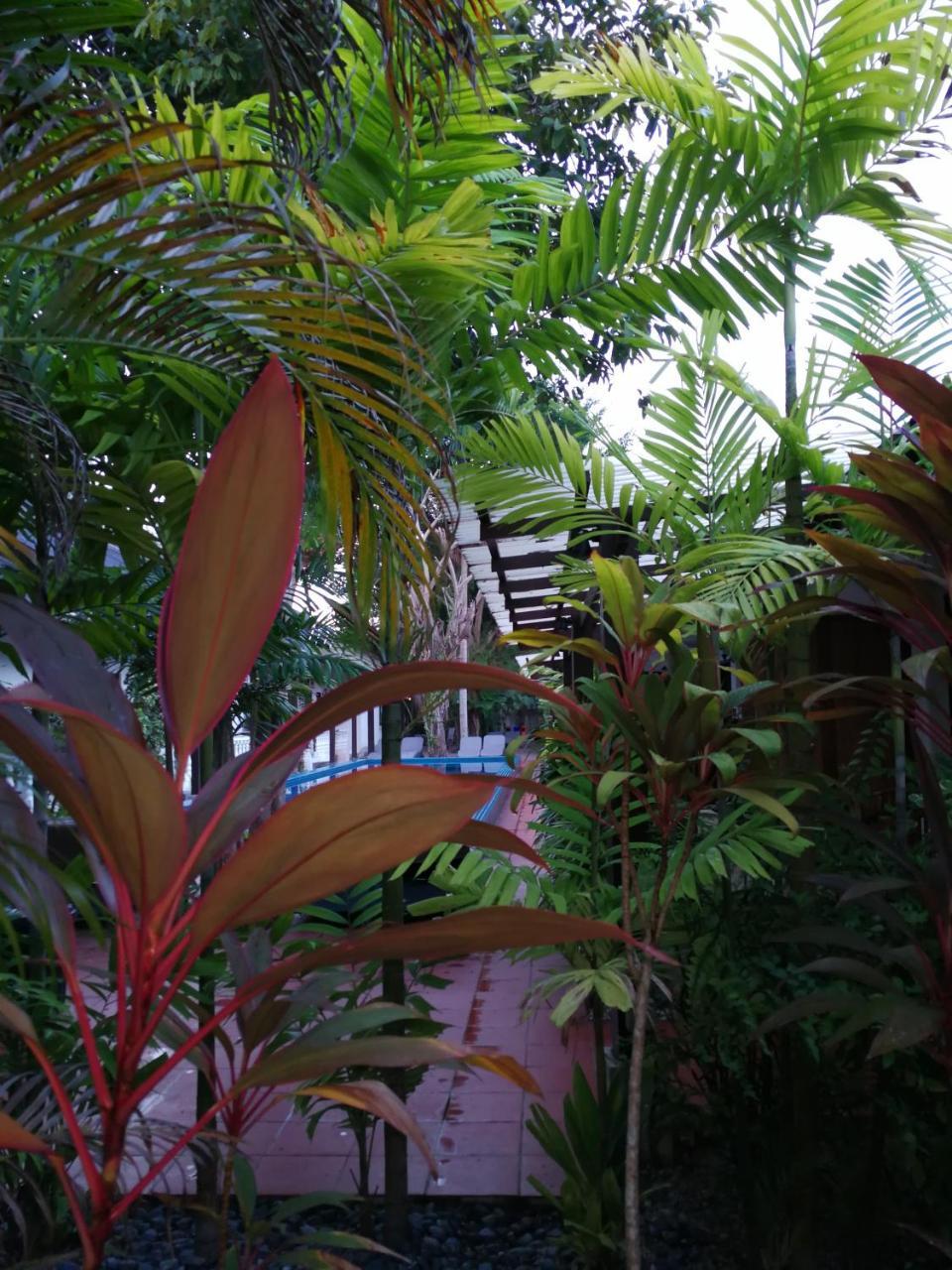 Tropical Resort Langkawi Eksteriør billede